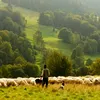 Persoană decedată găsită de un cioban, după 9 luni de căutări. Primele indicii duc la turistul britanic dispărut în viscol