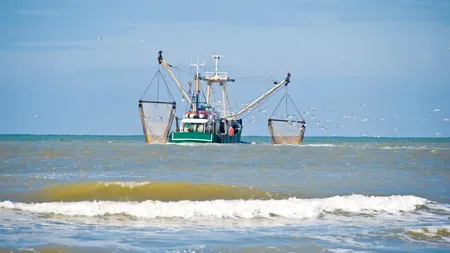 Facilitate uriașă pentru pescarii români din Marea Neagră