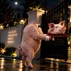 Capul de porc de la poarta lui Marius Lulea. Cine e porcul, de fapt?