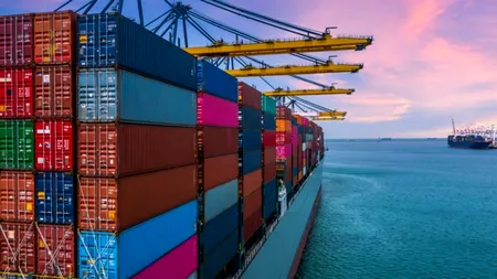 Studiu: Germania este tot mai dependentă de importurile de materii prime