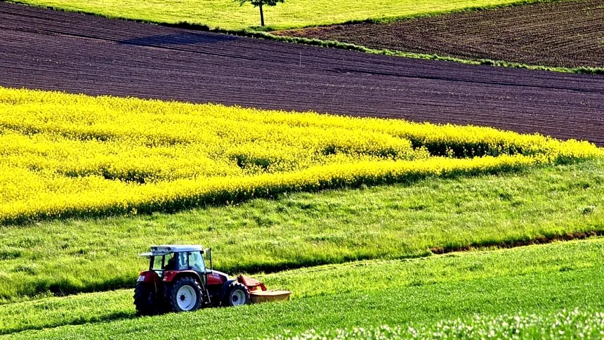 Cea mai mare subvenție din agricultura românească, de două ori mai mare decât în Germania