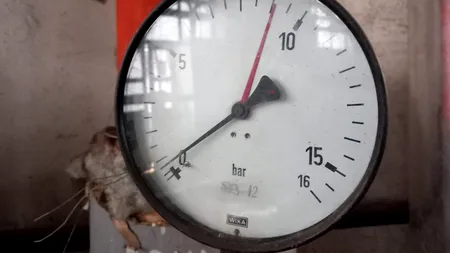 Controale ANPC în toată țara! Nereguli grave în furnizarea energiei termice, 79 de operatori verificați