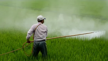 Criza care pândește agricultura globală. Bayer amenință cu retragerea celui mai puternic erbicid din cauza litigiilor legate de cancer