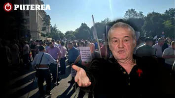 Reacția lui Gigi Becali la adresa clasei politice. Protestul fermierilor l-a făcut să se dezlănțuie : „Voi sunteți niște hahalere”