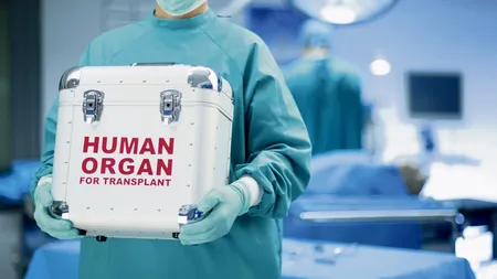 Guvernul a aprobat dezvoltarea unei noi platforme informatice a activităților de transplant de organe