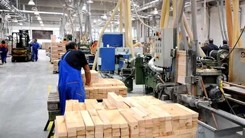Un sector de 10 miliarde de lei al industriei româneşti riscă să se prăbușească. Care sunt motivele