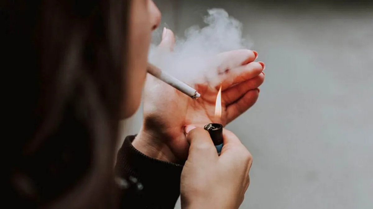 Mari producători din industria tutunului susțin taxarea echitabilă a tuturor produselor cu nicotină