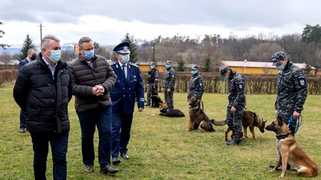 Câinii de la Centrul Chinologic al Poliției Române vor fi antrenați pentru detectarea celor infectați cu Covid-19 FOTO