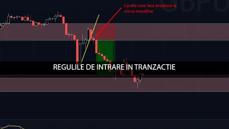 Tranzacții mixte în ringul BVB, la 60 de minute după deschiderea pieței de luni. Un trader iese din piață pe acțiunile One United Properties