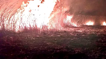 Incendiu de vegetație în Mehedinți: Mai multe gospodării au fost cuprinse de flăcări