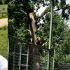 Vicepreședintele ANMAP, mesaj de Ziua Mediului: „România nu este bogată doar prin ceea ce construiește, ci prin ceea ce a primit”