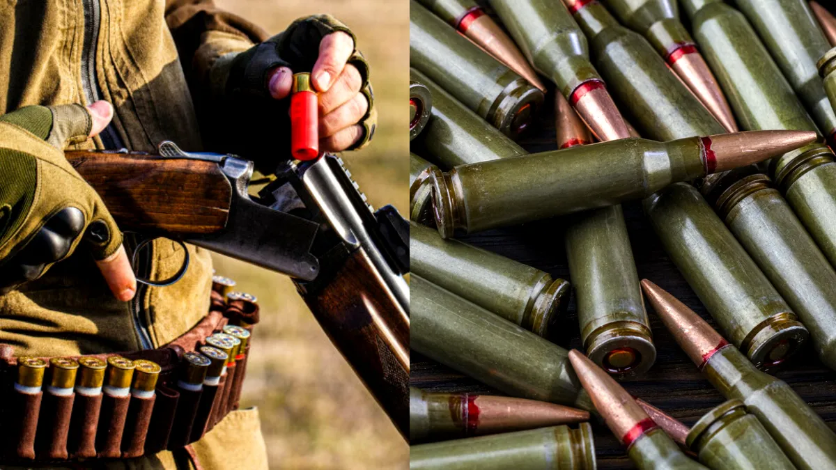 Cine are interesul să mușamalizeze furtul de muniție NATO, de dragul unor braconieri din Vrancea
