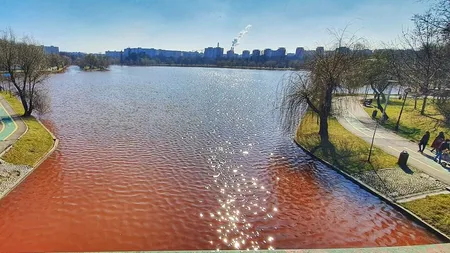 Alertă de mediu: Lacul IOR din București, poluat cu fecale