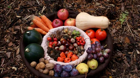 România a ajuns cel mai mare importator de fructe și legume din Europa de Est