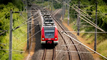 Sibiu: Tren oprit pentru salvarea unui cal blocat între șinele căii ferate