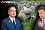 Ministrul UDMR al Agriculturii, Barna Tanczos, noul aliat împotriva ciobanilor al șefului ANSVSA, Alexandru Bociu