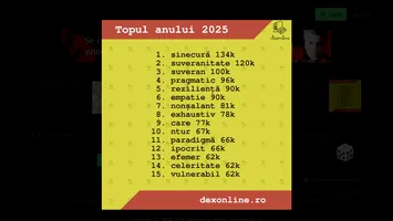 Ce cuvinte i-au pus pe gânduri pe români. „Sinecură” domină 2025
