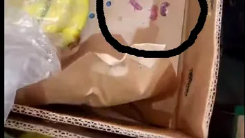 Șoareci filmați printre bananele de pe raftul unui celebru supermarket (Video)