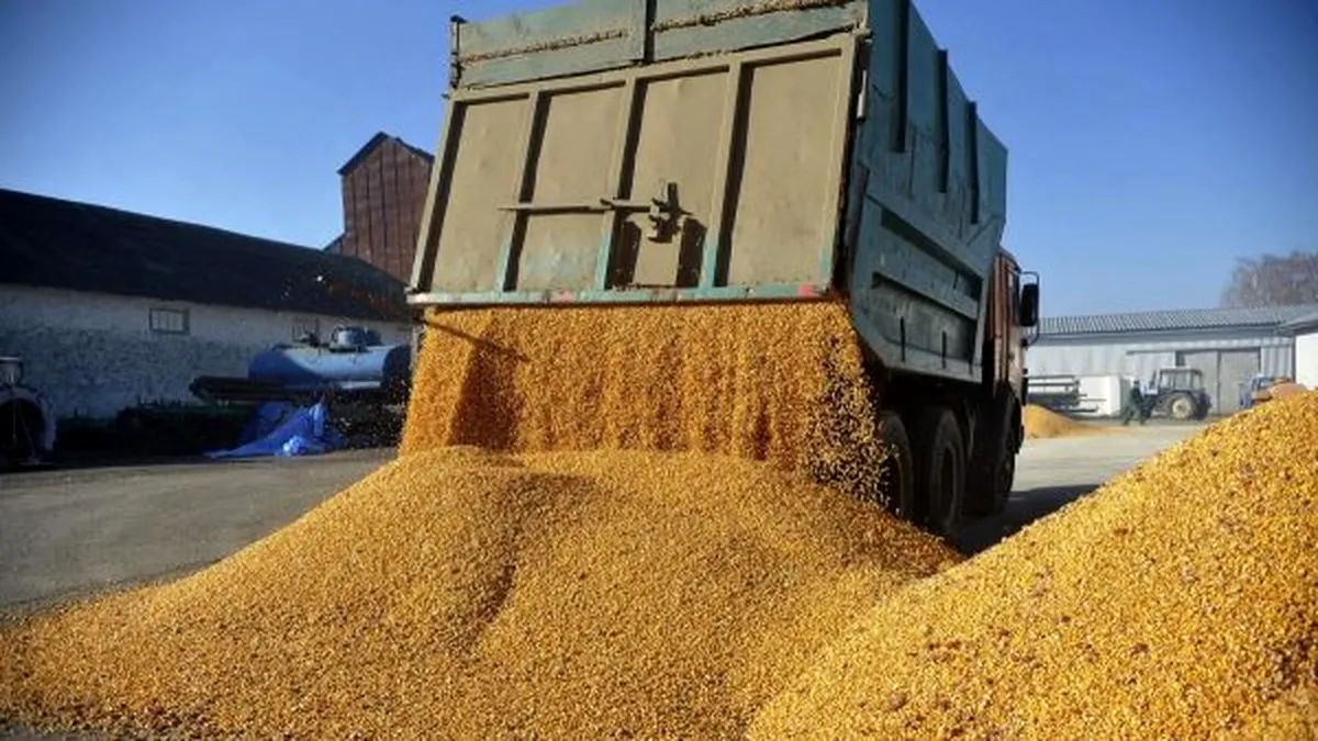 Cine a achiziționat cereale din Ucraina? Toată lumea, de la fermieri și până la procesatori