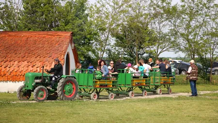 Ferma Ancuței, farm-park la Moara Vlăsiei, un proiect unic în România (VIDEO)