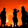 România, lovită din plin de costurile economice ale verii 2025: seceta reduce peste 1% din activitatea economică