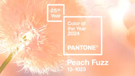 Peach Fuzz este culoarea anului 2024