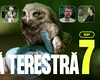 Pajiști, ecoducte și infrastructură critică: trei modele prin care România își protejează biodiversitatea