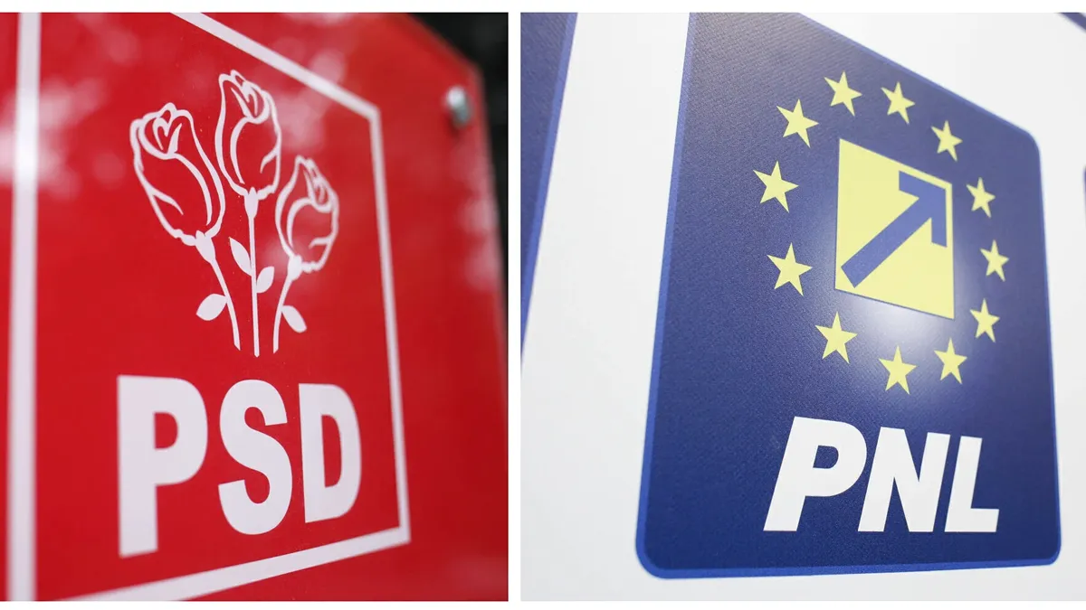 Doi frați candidează la primăria unei comune din Vaslui. Unul de la PSD, celălalt de la PNL