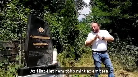 Primarul unei comune din Harghita susține că urșii atacă morminte: Se numește profanare!