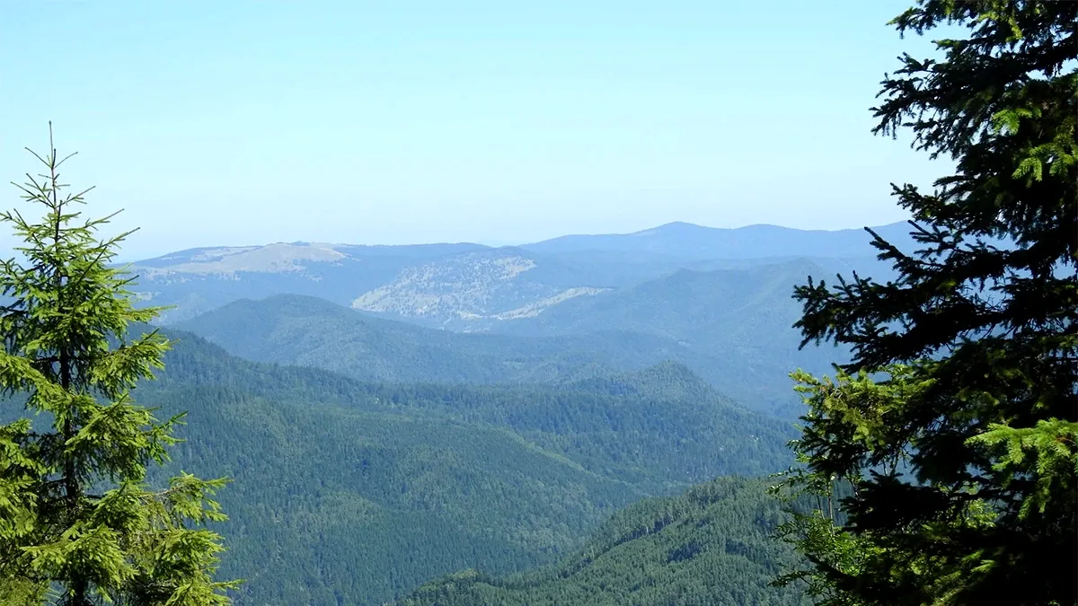 Afaceri dubioase cu fonduri publice la Parcul Natural Putna-Vrancea, aflat în parohia Romsilva