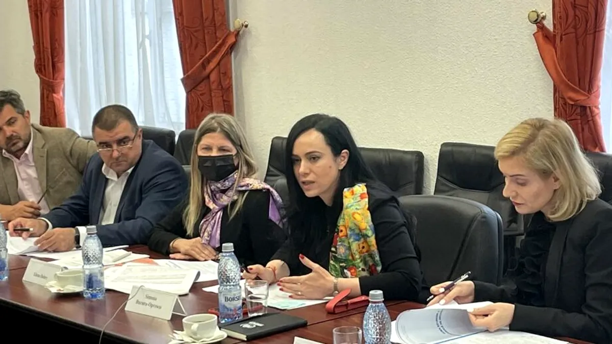 Ministrul Simona Bucura-Oprescu a condus, luni, prima reuniune a Comisiei Naționale de Incluziune Socială