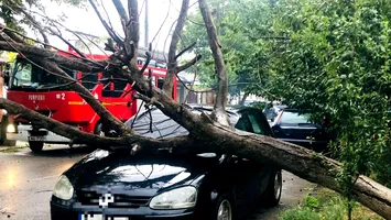 Bilanț tragic după furtunile de vineri seară: trei morți și patru răniți