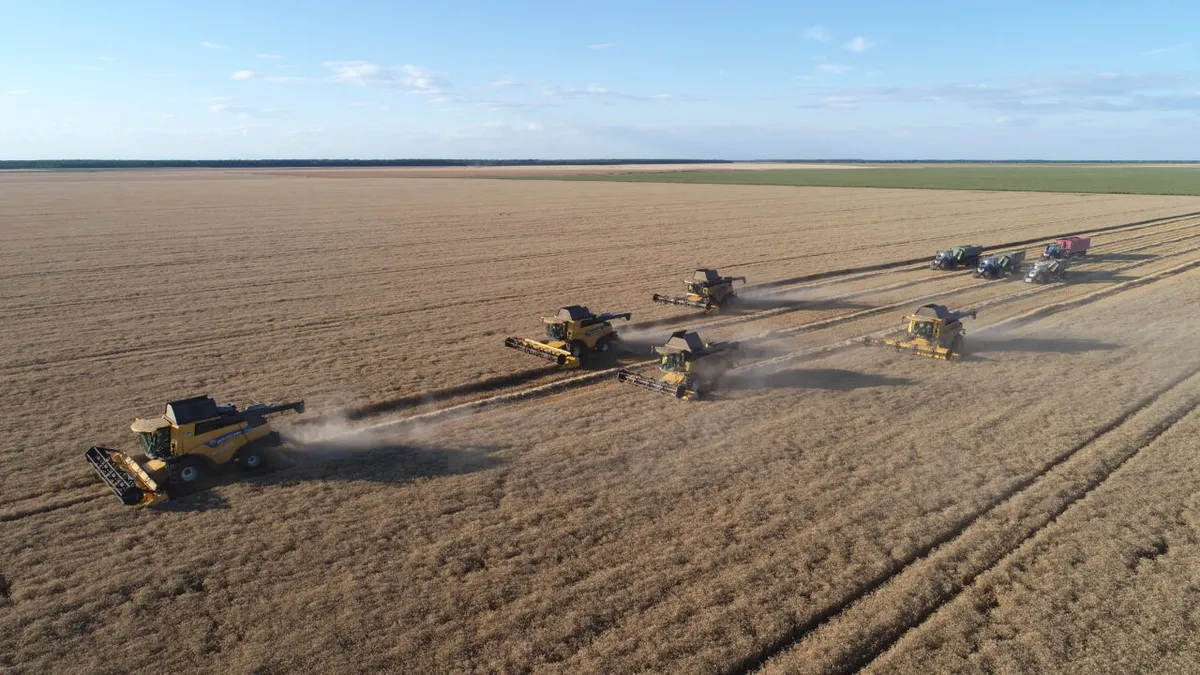 Cât din terenul agricol al României mai aparține, de fapt, românilor?