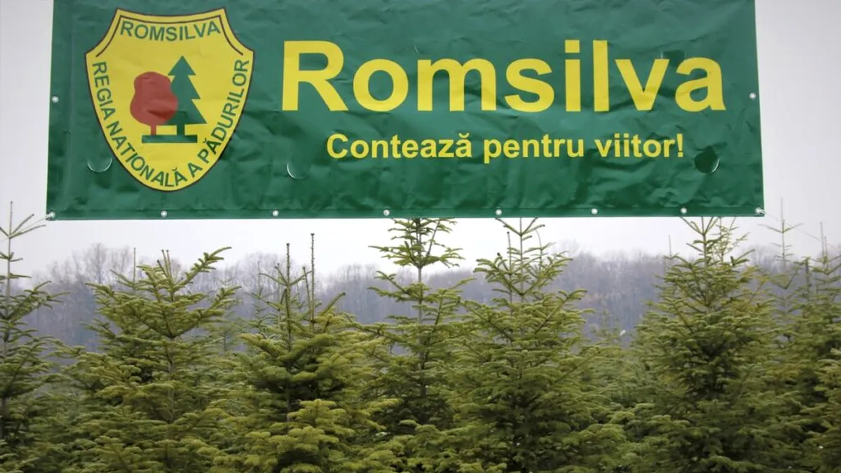 Reorganizare la Romsilva după modelul Caragiale
