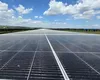 Veste bună: A fost finalizat cel mai mare parc fotovoltaic finanțat prin PNRR