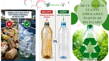 Recliclarea ambalajelor în Sectorul 5. De ce clătirea acestora nu este opțională