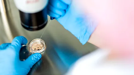 O clinică de fertilitate din România depăşeşte semnificativ standardele europene