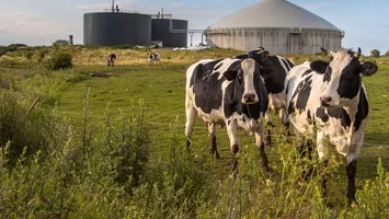 Guvernul „legalizează” biometanul pentru a salva industria de recesiune!