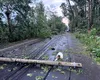 Accesul în cartierul Greenfield, blocat de copaci și stâlpi de lumină prăbușiți pe carosabil