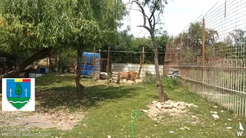 Grădină zoologică ilegală, descoperită într-o curte din Dâmbovița. Animale sălbatice ținute în captivitate, în condiții mizere