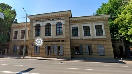 Muzeul de Istorie Naturală din Iași va fi redeschis în Ianuarie