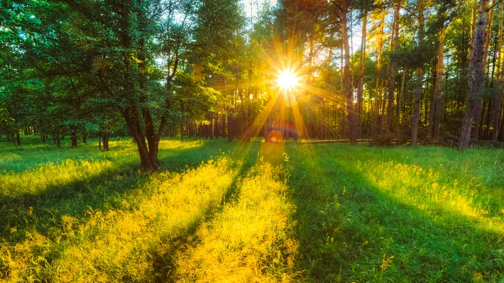 Vremea se schimbă de la mijlocul săptămânii. Cât de cald va fi în următoarele zile