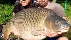 Cele mai bune bălți de pescuit de lângă București. Unde se prind crapi uriași