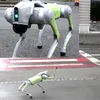 Roboți cu AI patrulează într-un oraș din România. Curățenie stradală și mesaje pentru locuitori