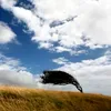 Cod galben de vreme rea. Meteorologii anunță vânt puternic și ceață periculoasă