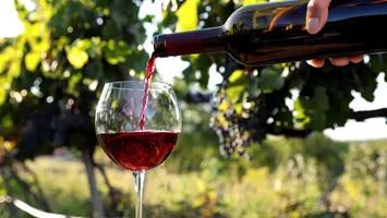 România, cu pivnițele pline: Stocurile de vin ating un record de peste 200 de milioane de litri în 2024