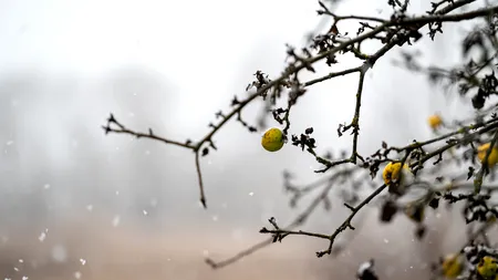 Toamna schimbă foaia: Temperaturile scad brusc în toată țara! Lapoviță și ninsoare la munte