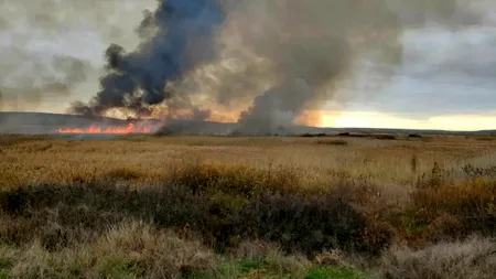 Incendiu de vegetație pe 60 de hectare în Rezervația Naturală Delta Neajlovului