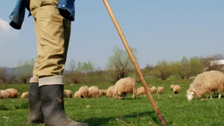 Locul unde ciobanii își riscă viața (VIDEO)