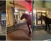 Incident neobişnuit, la Slatina! Amendat după ce s-a plimbat cu un cal pe trotuar (VIDEO)